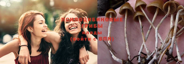 Альфа ПВП Абинск