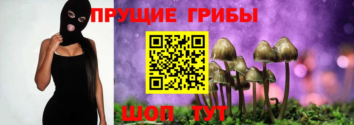 Кандалакша  Галлюциногенные грибы мицелий  хочу наркоту  Вход с VPN 